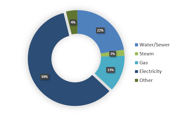 Pie graph of energy consumption